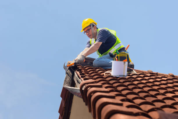 Best Roof Insulation Installation  in Lake Dallas, TX